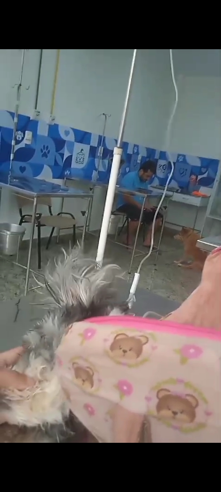 Ajude a Sophia no tratamento de câncer 