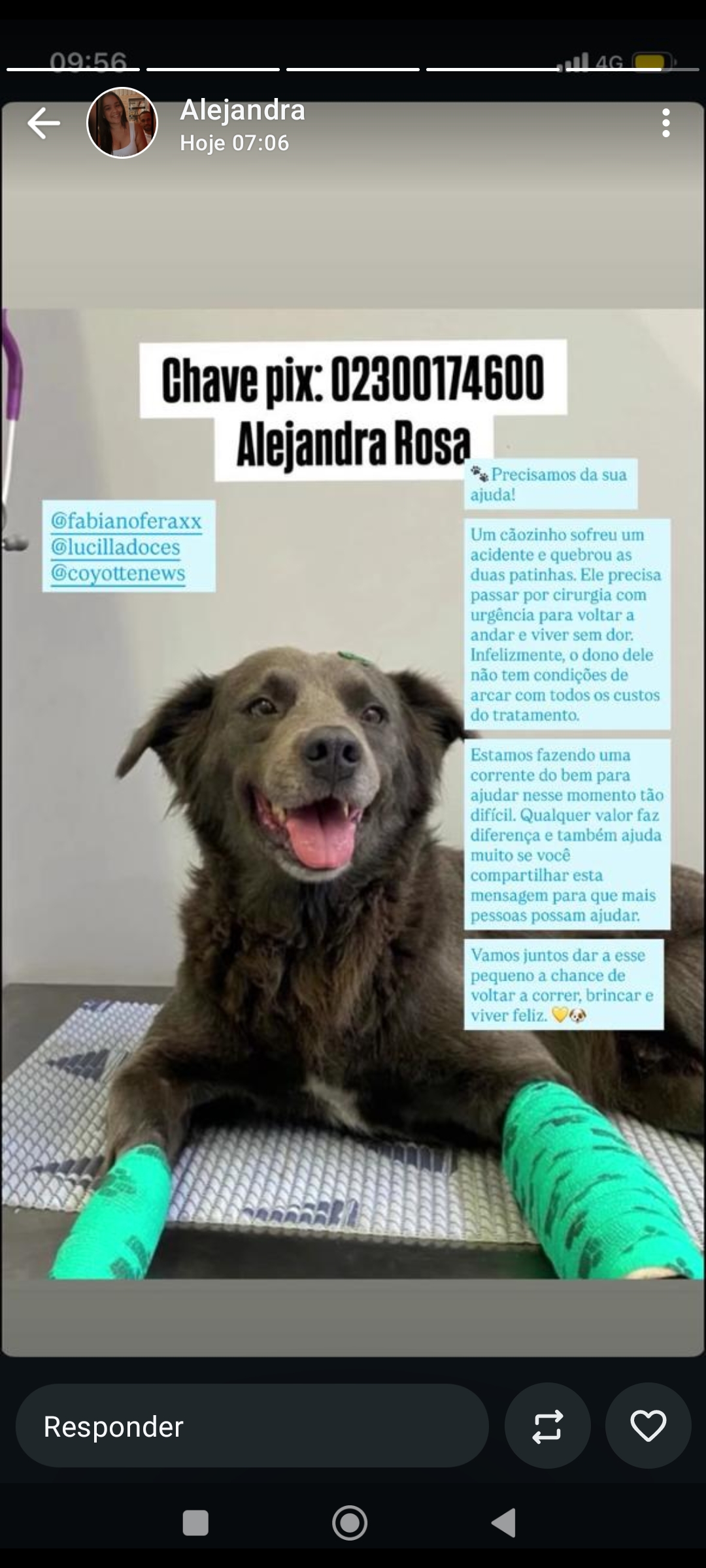 Ajude na cirurgia do fergus 