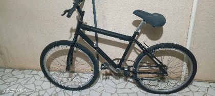 Cirurgia da dog mila