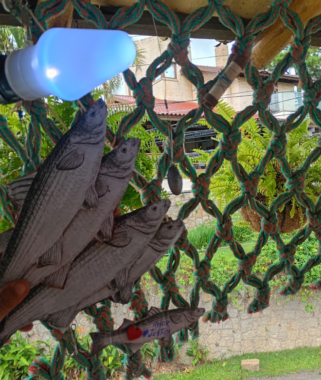 Da rede para a rede internet na casinha 