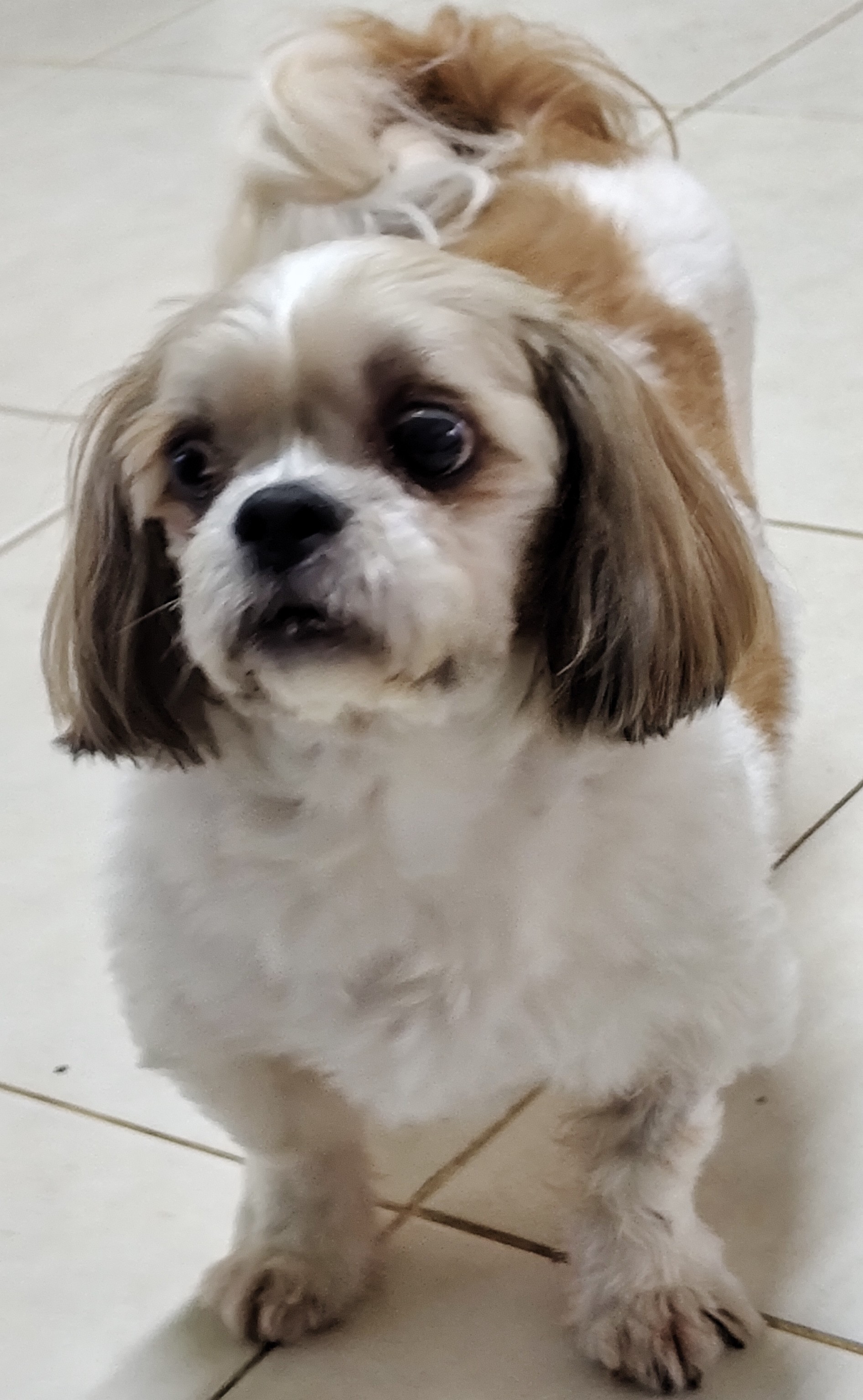 Estou com Câncer você pode me ajudar com meu tratamento 