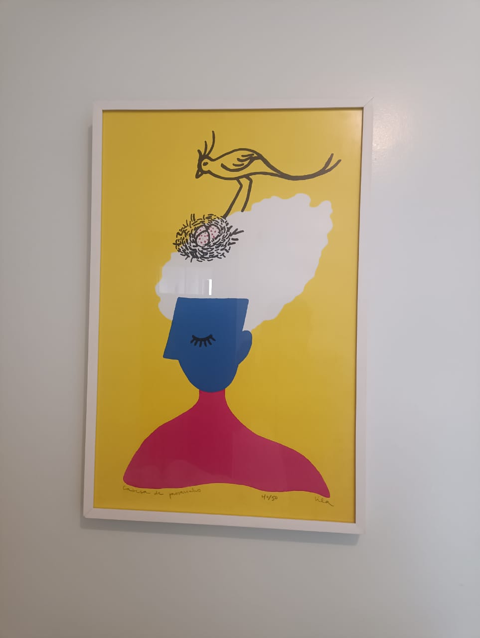 Obra de arte cabeça de passarinho da artista visual brasilense Lila Oliveira 