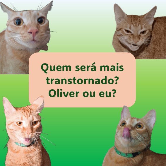 Prêmio em dinheiro para começar o ano