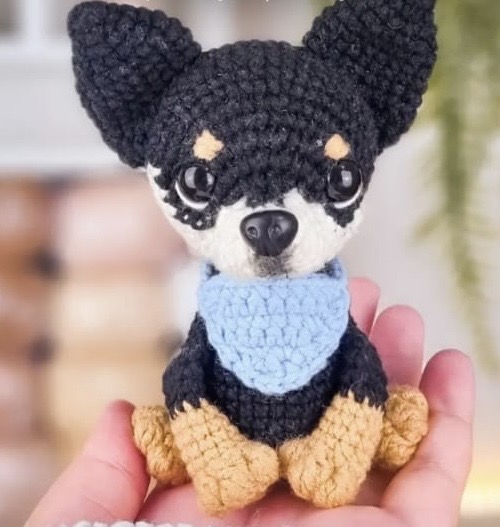 Rifa em prol dos pets