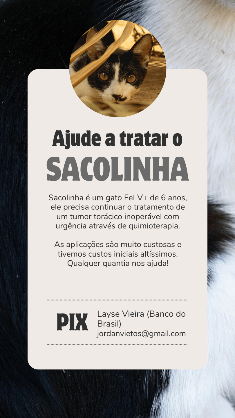 Rifa para a Quimio do Sacolinha