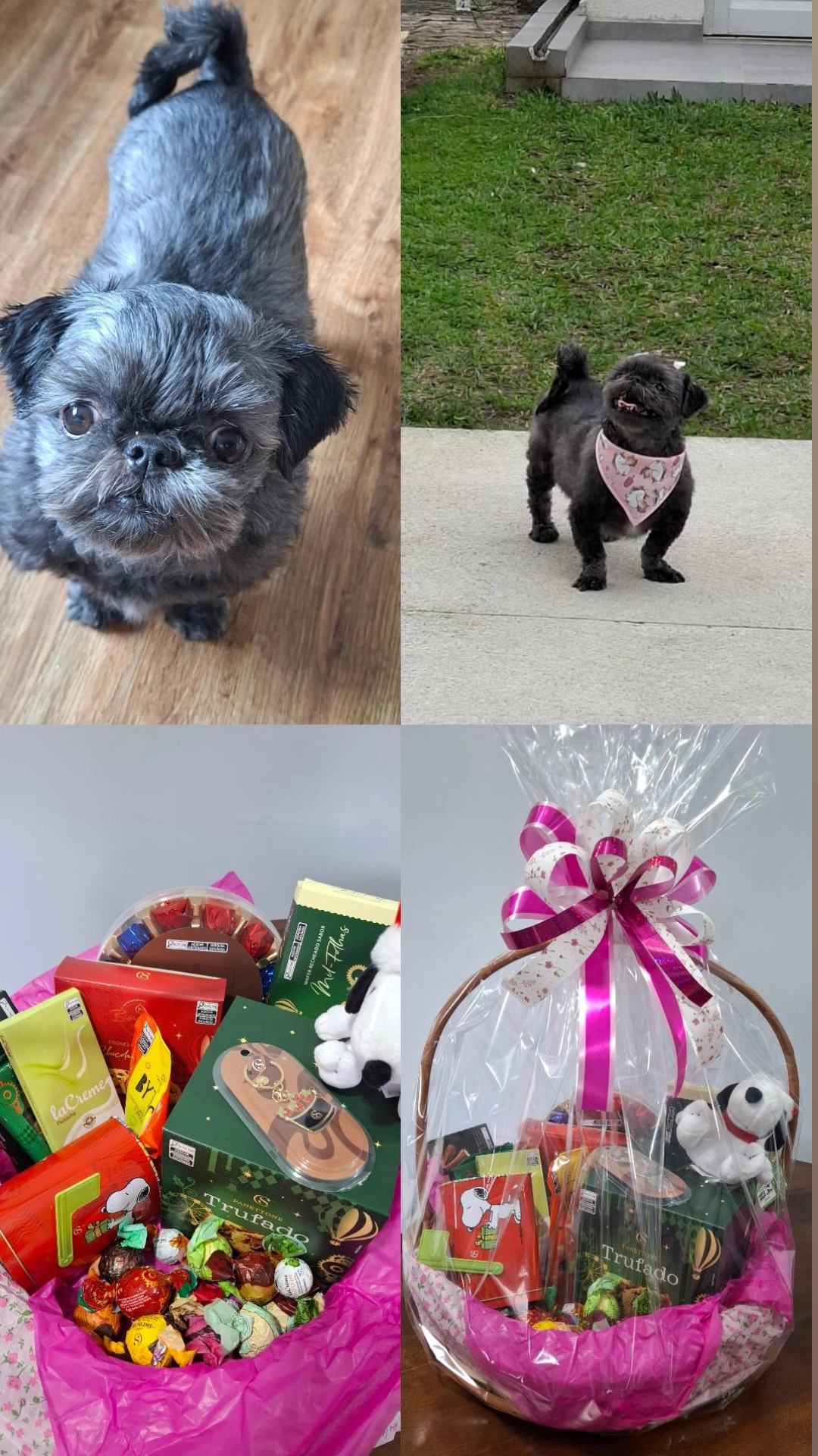 Rifa para ajudar a Lua