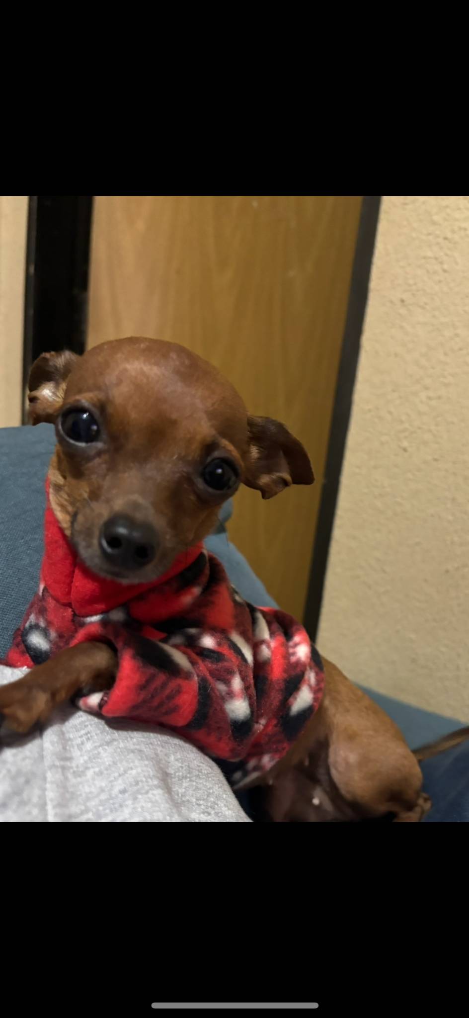 Rifa para ajudar na cirurgia da criança 