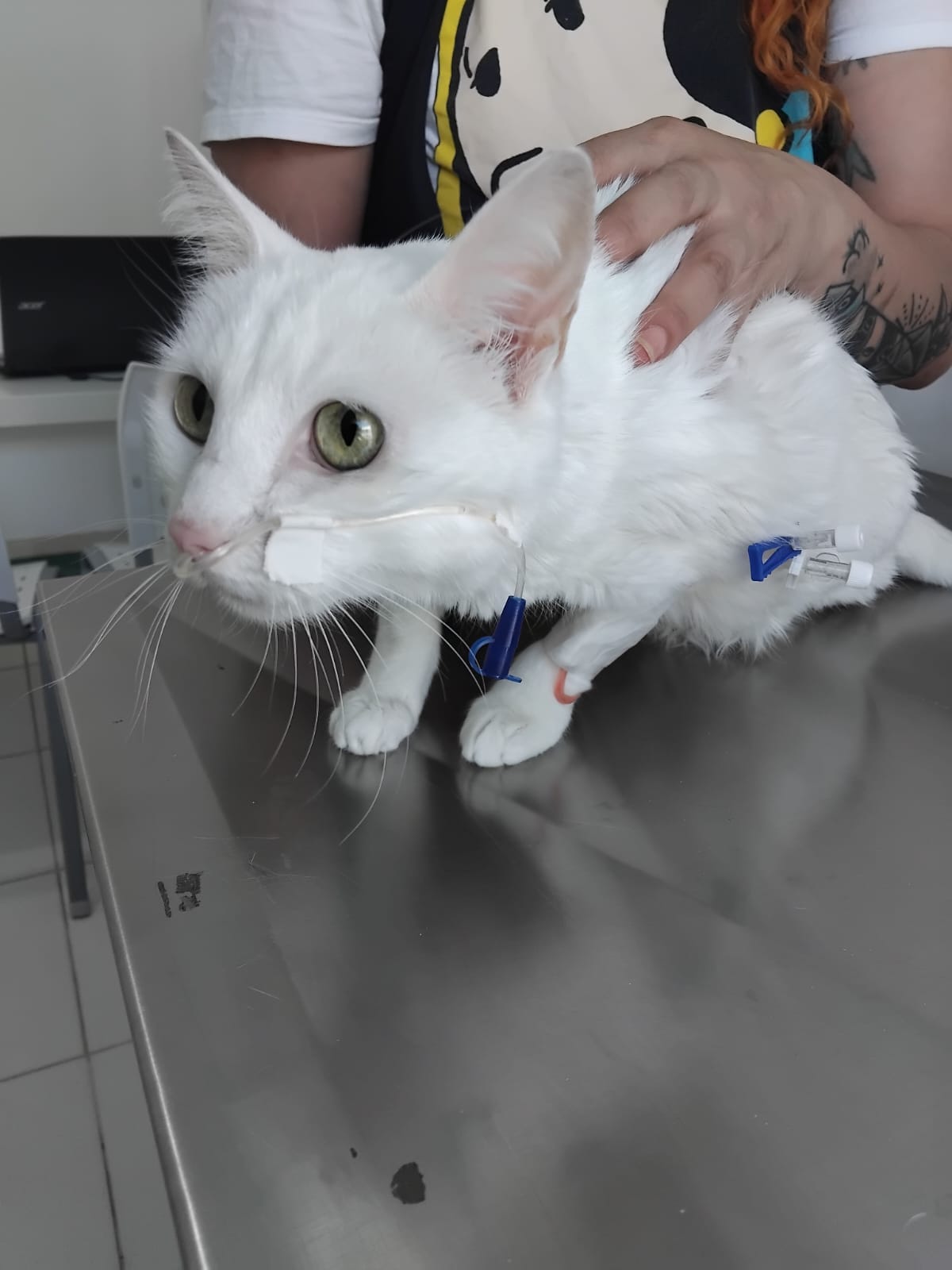 Rifa Solidaria para Frida