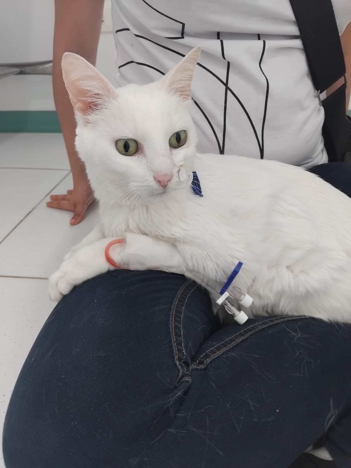 Rifa Solidaria para Frida