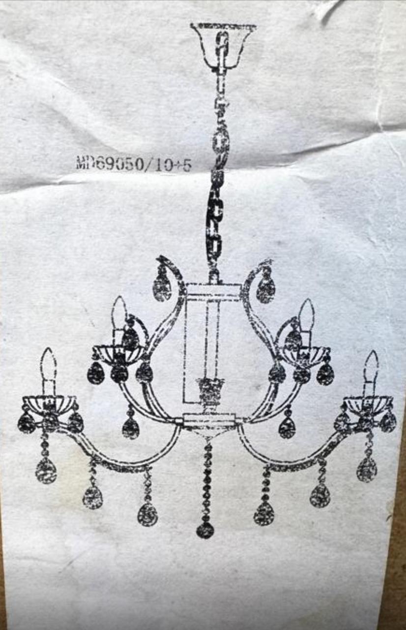 Tratamento do gatinho Lázaro 