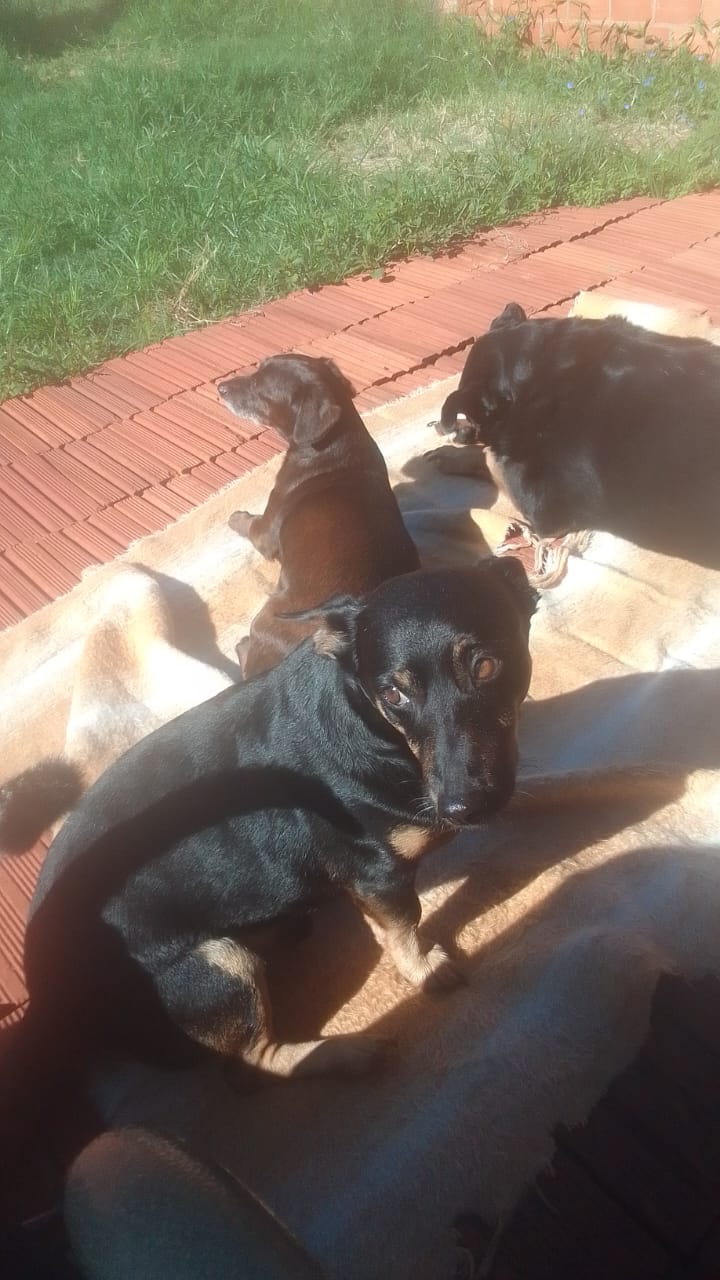 foto 0