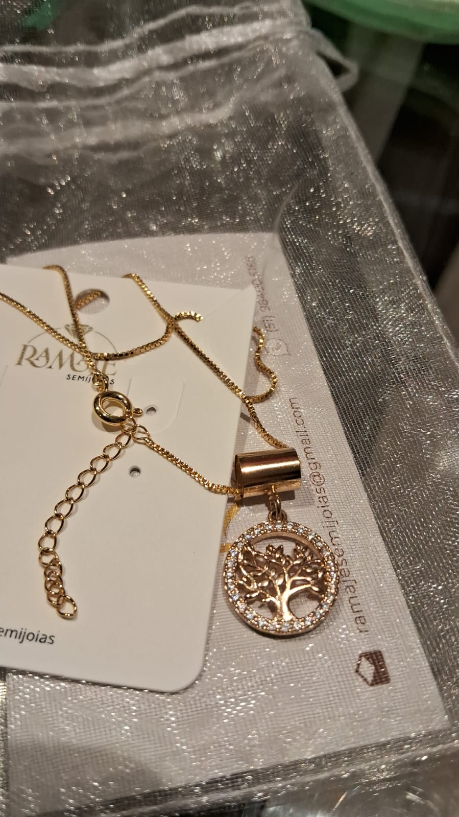 Ação solidária cordão árvore da vida