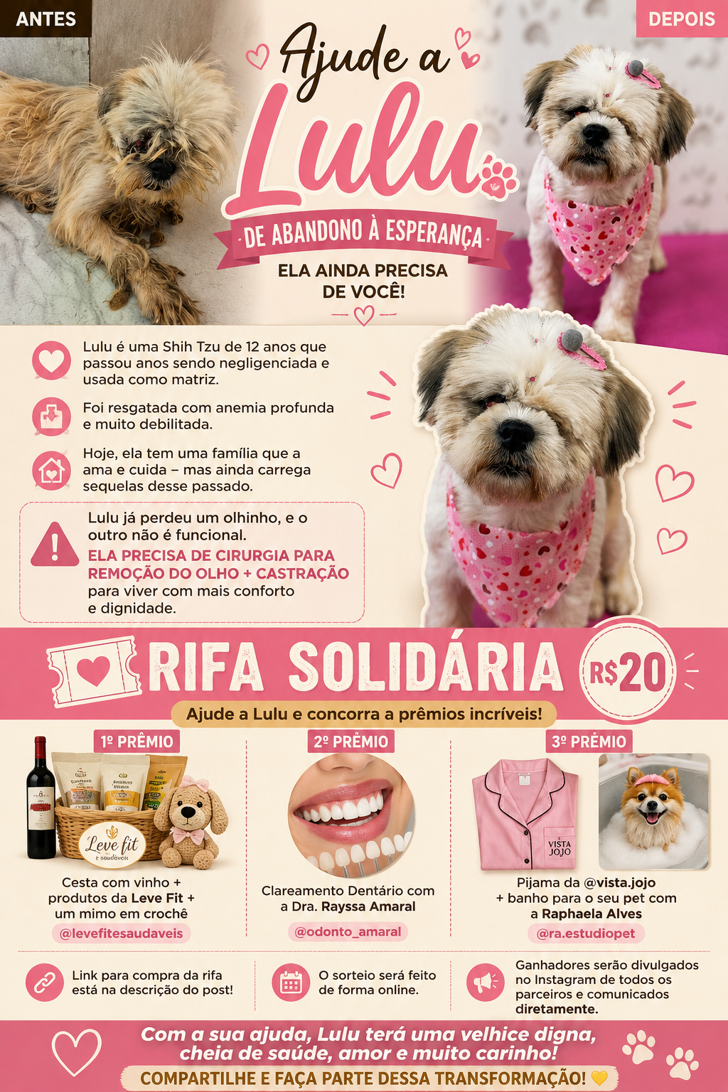 Ajude a lulu a ter a velhice que ela merece