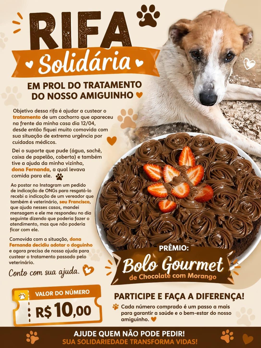 Ajude o doguinho resgatado