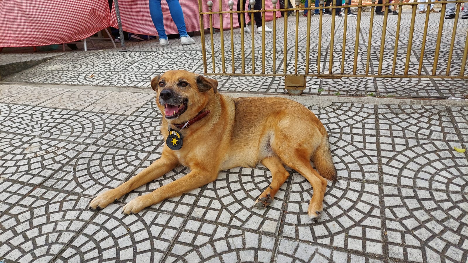 Caio