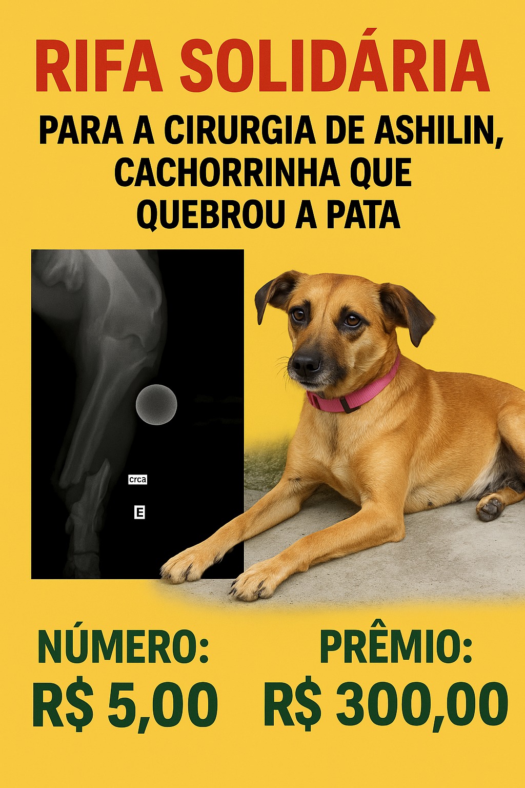 foto 0
