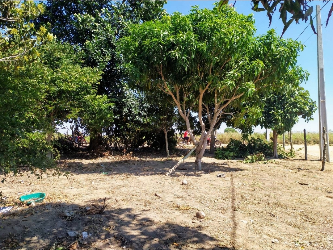 Construção da minha casa