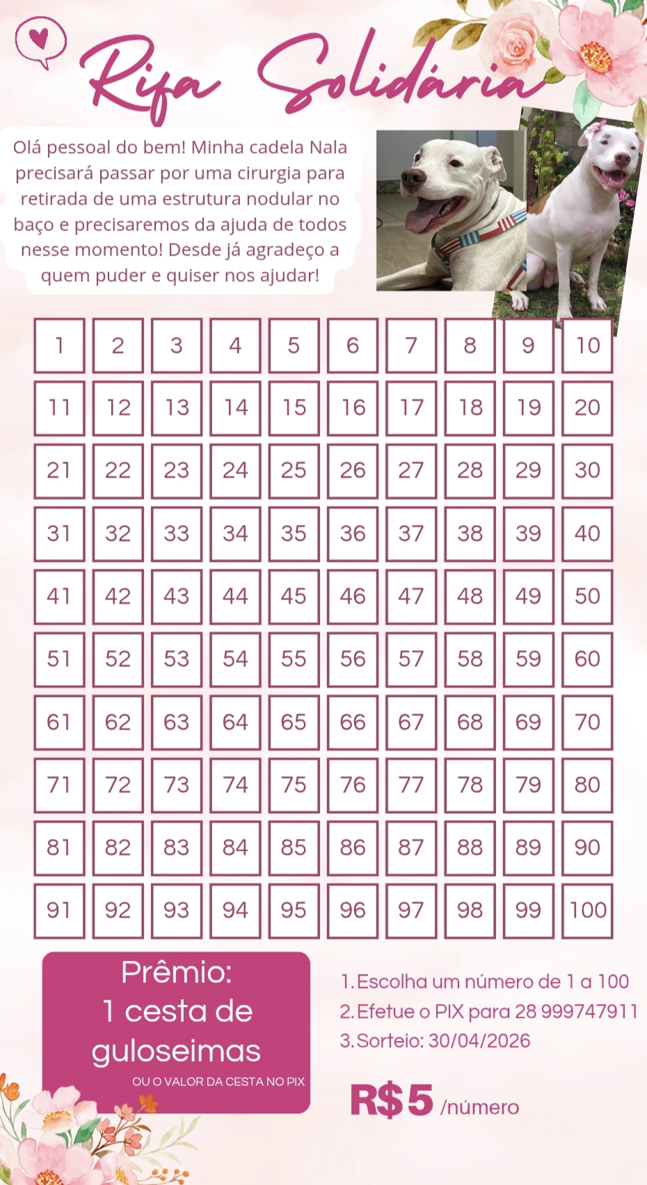 Rifa solidária 2