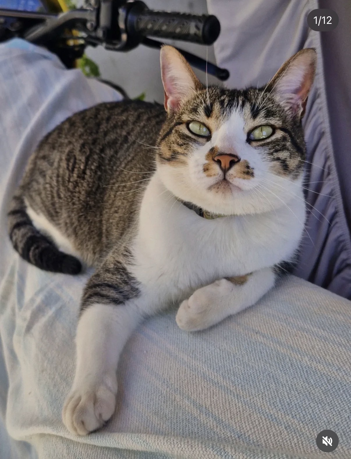 Rifa solidária em memória da olga