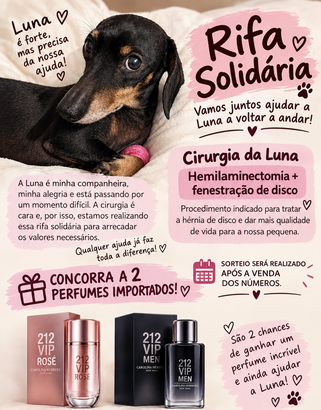 Rifa solidária para a cirugia da Luna